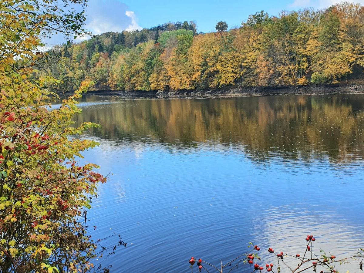 Holzhaus Am See Mit Panoramablick Trausnitz Eksteriør billede